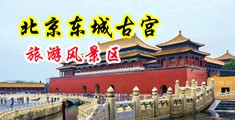 啊啊啊大鸡巴操我插我啊视频中国北京-东城古宫旅游风景区